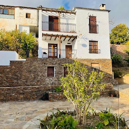 Apartamento Los Laureles Laroles Dış mekan fotoğraf